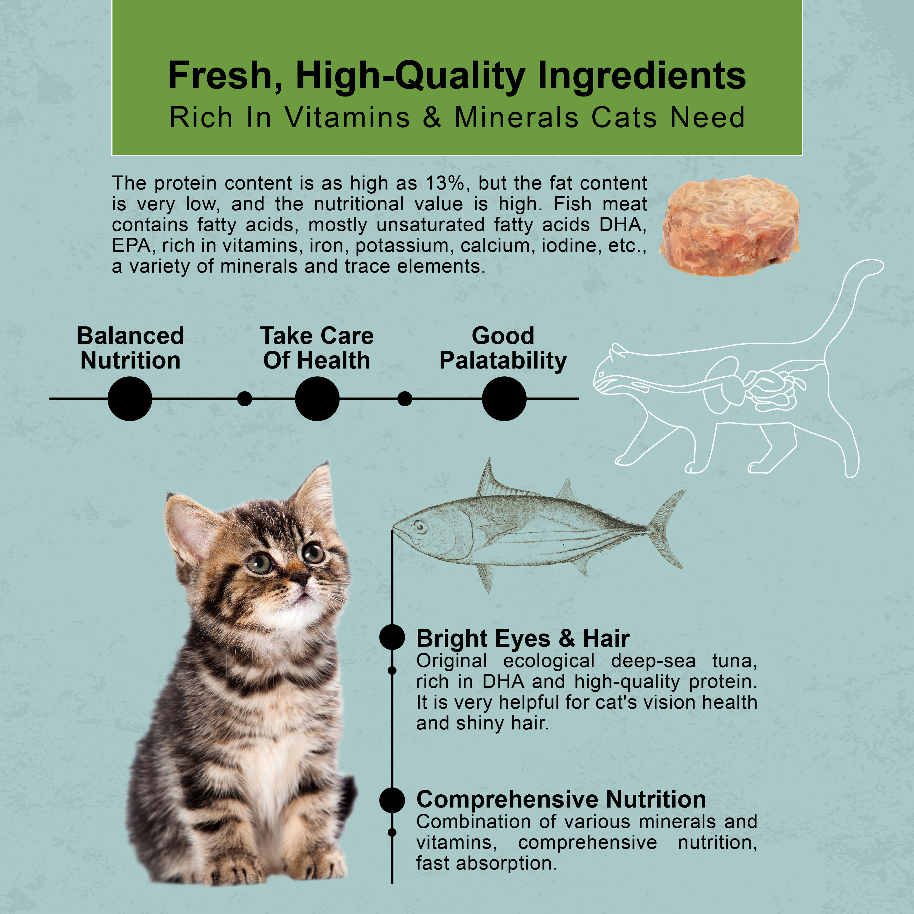 SC Tuna Web Post-E-05.png